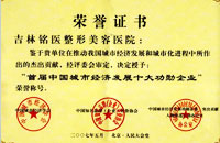 中国城市经济发展十大功勋企业