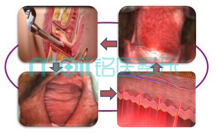 长春好的整形医院,长春私密整形,吉林铭医