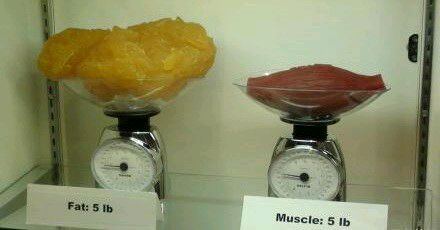 科普图,肪脂,长春好的整形医院