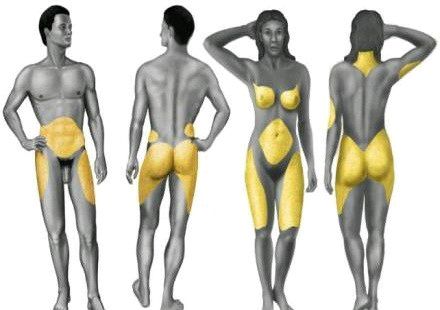 科普图,肪脂,长春好的整形医院