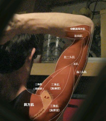 科普图,肪脂,长春好的整形医院