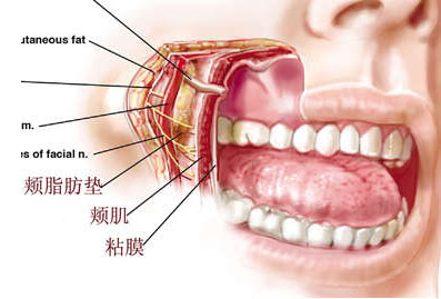 大脸,瘦脸针,长春好的整形医院
