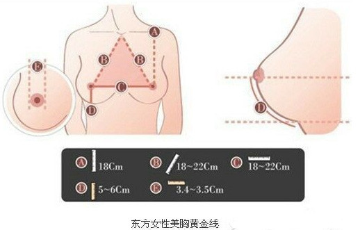 精致胸部,标准,位置,长春好的整形医院