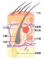 BOTOX,除腋臭,长春好的整形医院