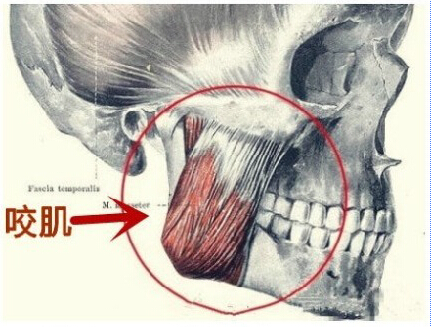 瘦脸针,长春好的整形医院