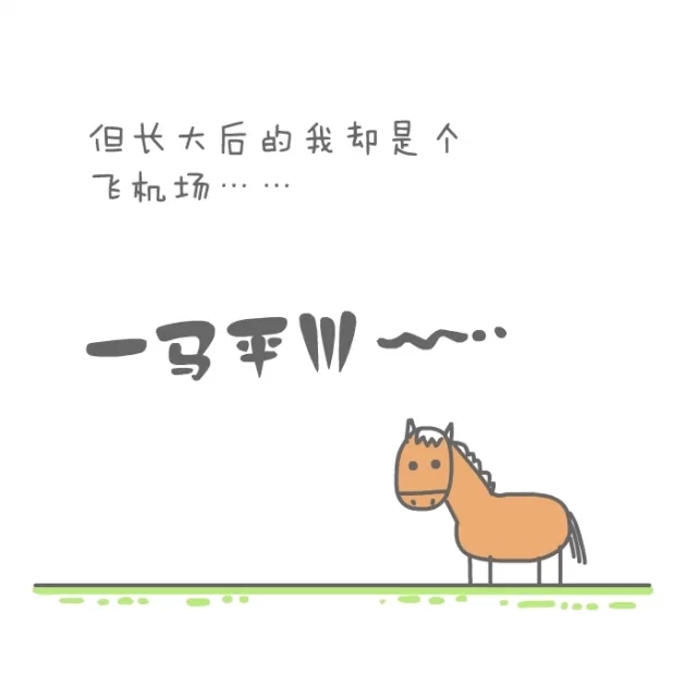 5D内窥镜双平面,对比图,长春好的整形医院