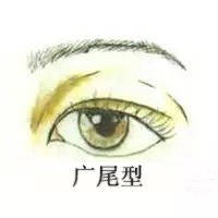 广尾型,双眼皮,长春好的整形医院