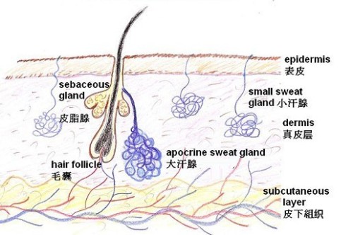 多汗症,肉毒素,长春好的整形医院