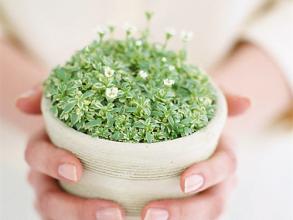 长春铭医,铭医优惠